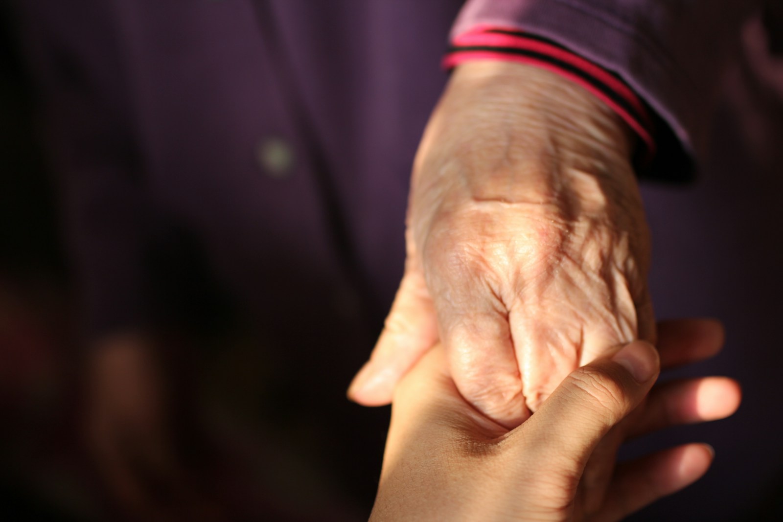 person in red long sleeve shirt holding hands